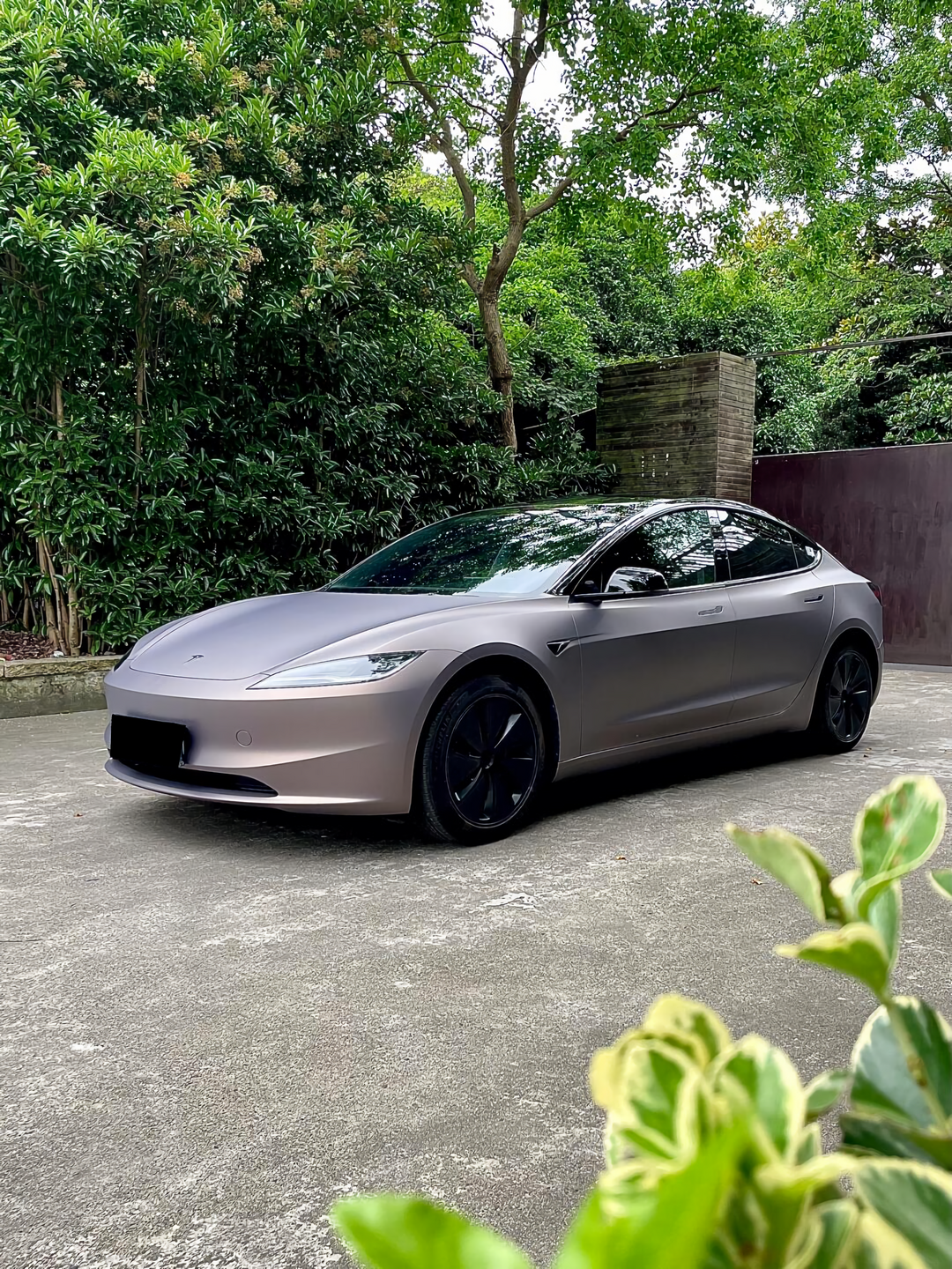 PET  Satin Solar Bronze Vinyl Wrap
