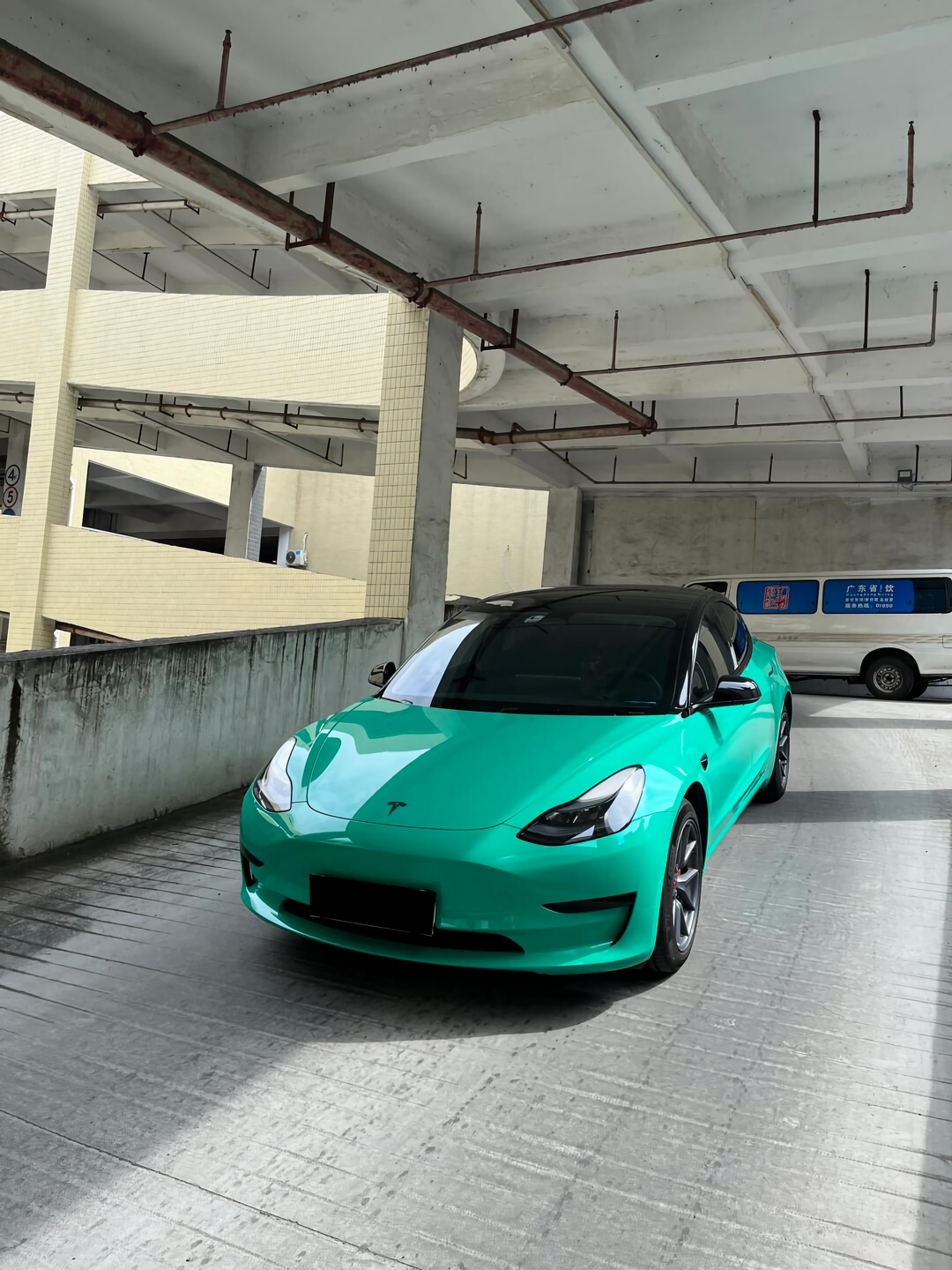PET  Light Green Vinyl Wrap