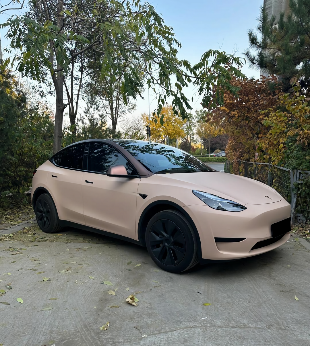 PET  Flat Mocha Latte Vinyl Wrap