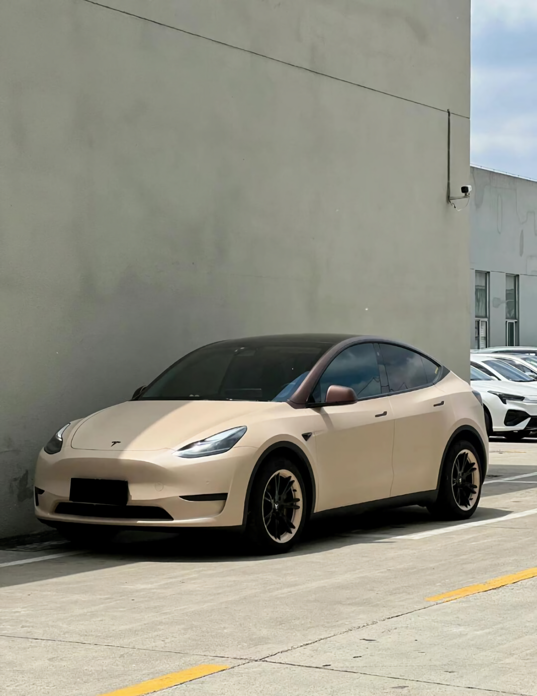 PET  Flat Cuban Sand Vinyl Wrap