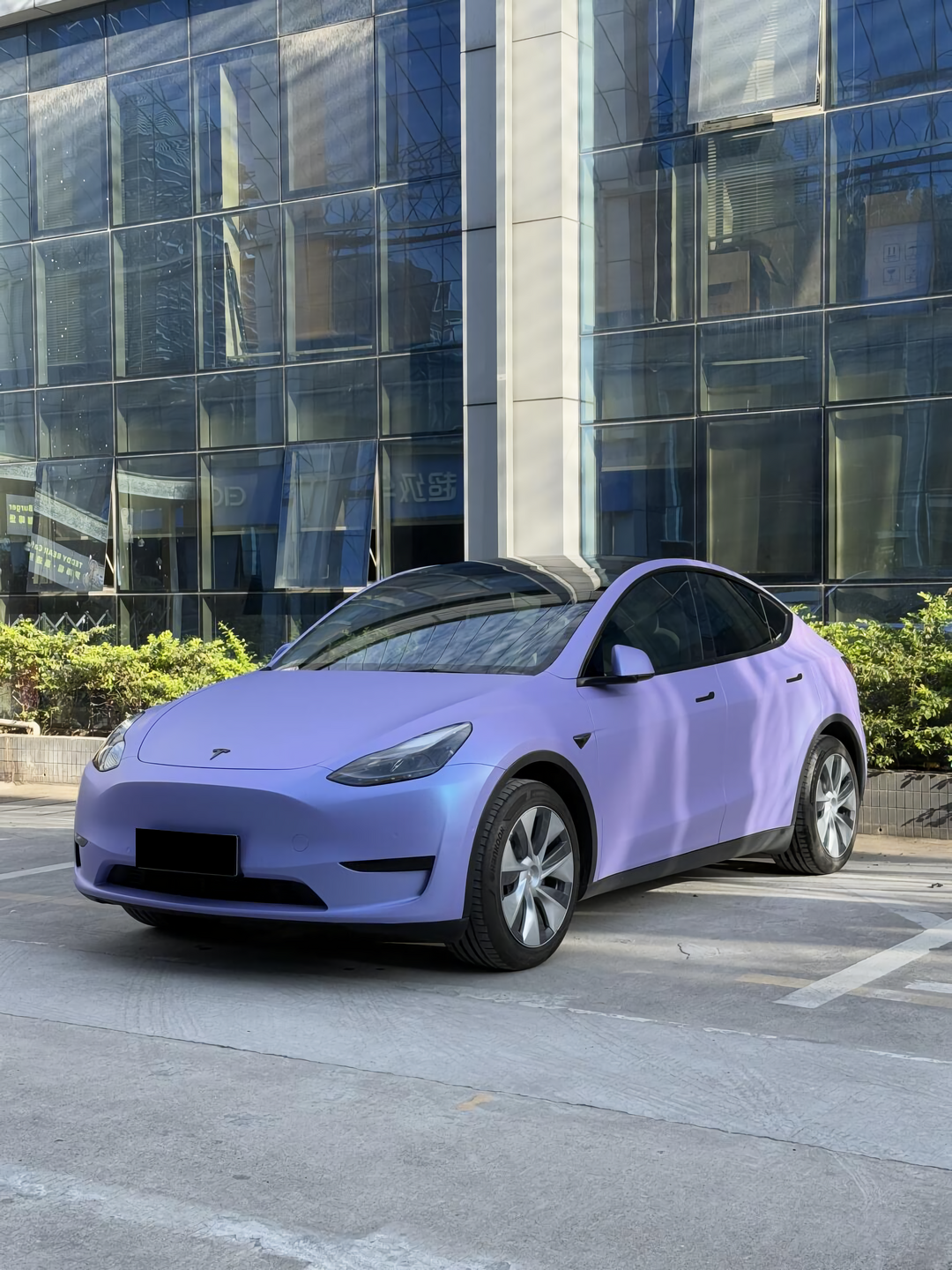 PET  Satin Flip Glacial Frost Vinyl Wrap