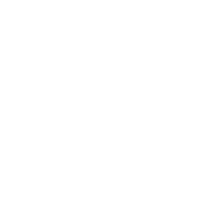 feature-item-4